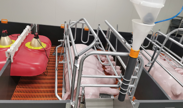 自(zì)動投料槽